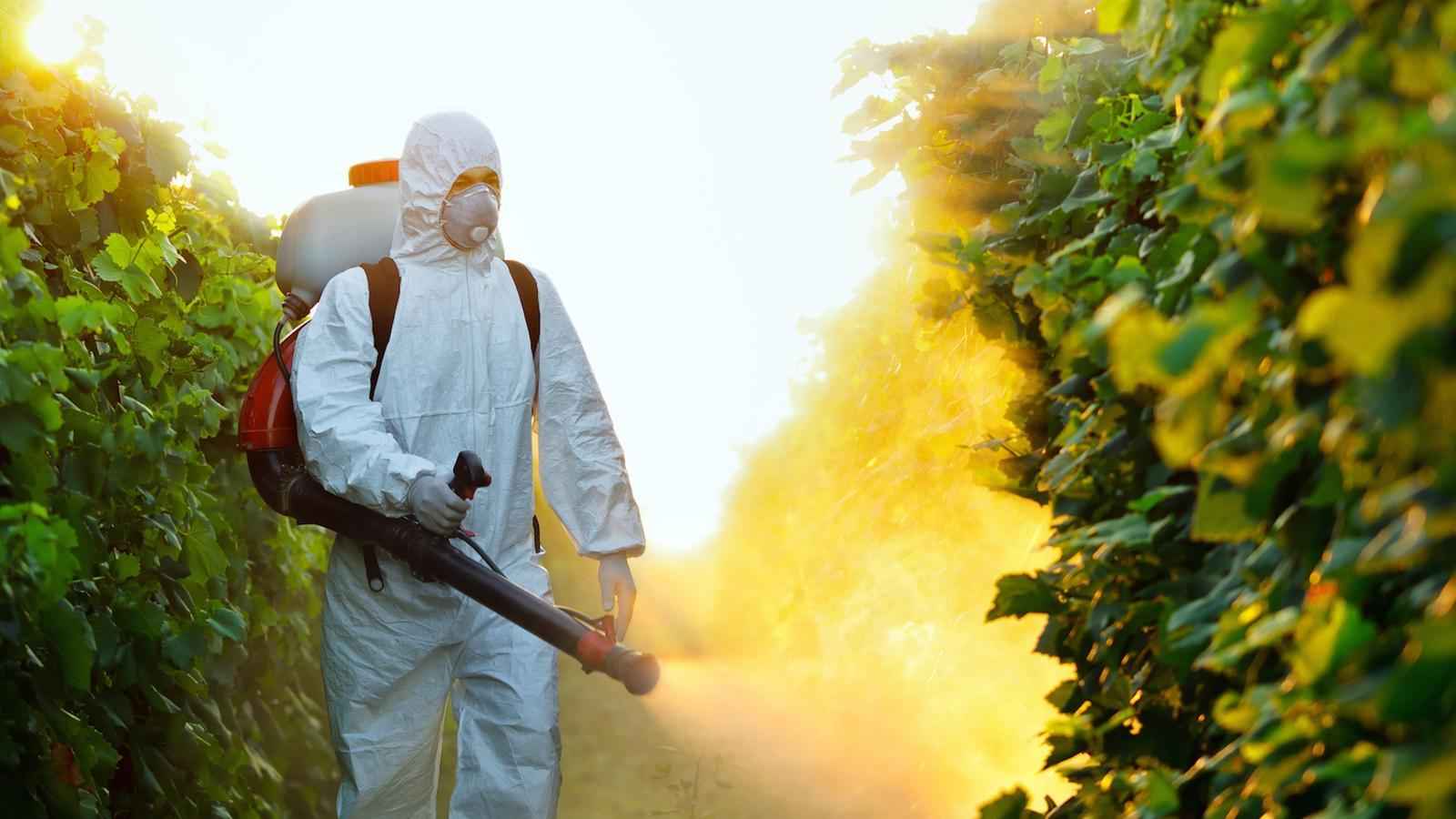 pesticides agricultura contaminacio