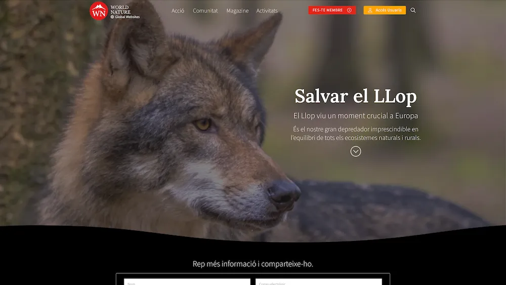 salvar el llop wn