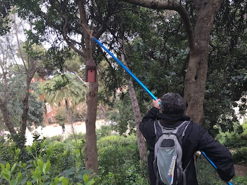 colocació caixes niu parc güell refugis wn 4