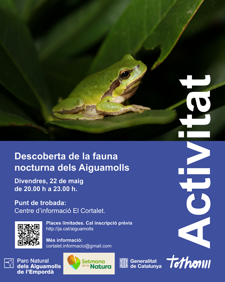 05 22 fauna nocturna aiguamolls emporda activitat.png 489848367